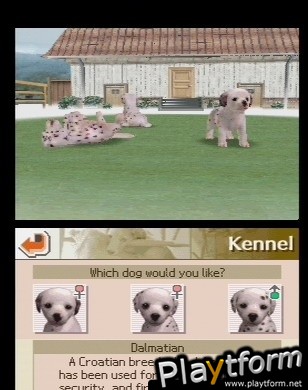 Nintendogs: Dalmatian and Friends (DS)