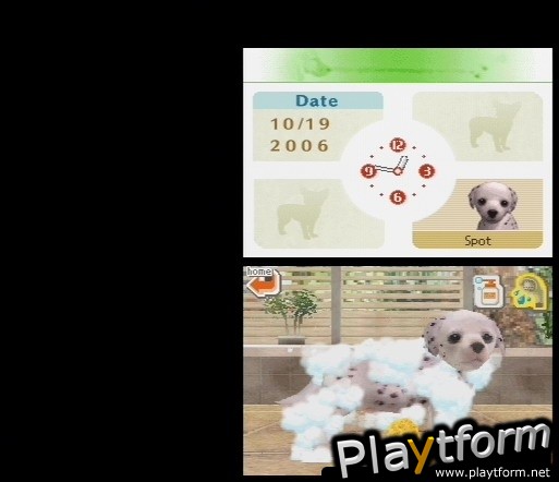 Nintendogs: Dalmatian and Friends (DS)