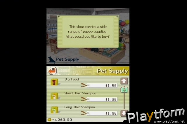 Nintendogs: Dalmatian and Friends (DS)