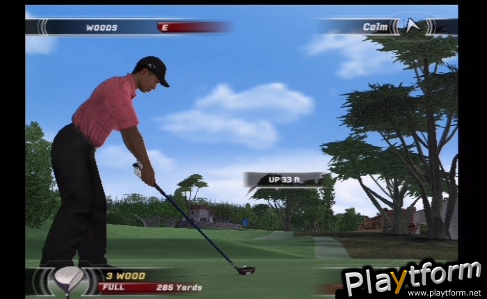 Tiger Woods PGA Tour 07 (PlayStation 2)