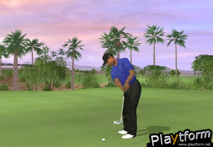 Tiger Woods PGA Tour 07 (PlayStation 2)