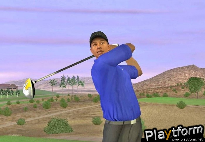 Tiger Woods PGA Tour 07 (PlayStation 2)