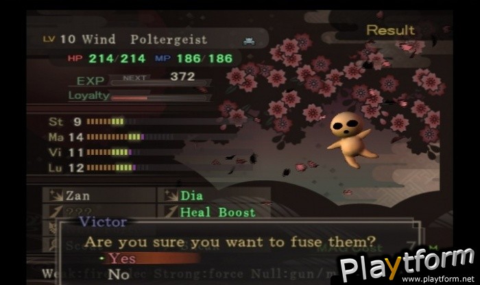 Shin Megami Tensei: Devil Summoner - Raidou Kuzunoha vs. the Soulless Army (PlayStation 2)