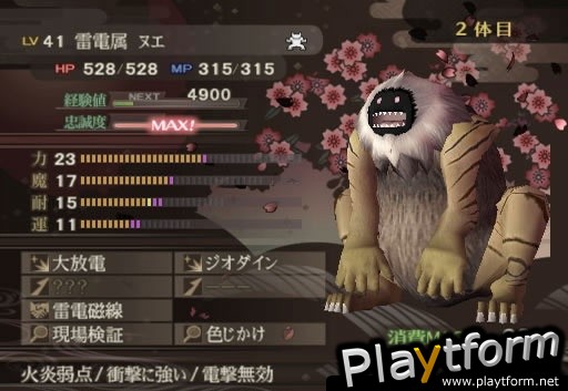 Shin Megami Tensei: Devil Summoner - Raidou Kuzunoha vs. the Soulless Army (PlayStation 2)