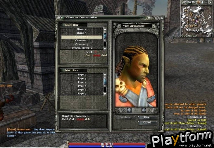 ArchLord (PC)