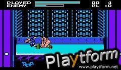 Capcom Classics Mini Mix (Game Boy Advance)
