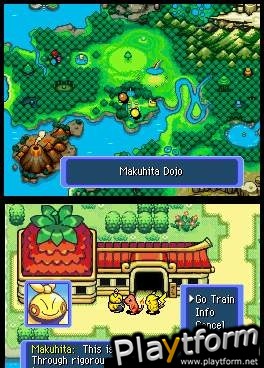 Pokemon Mystery Dungeon: Blue Rescue Team (DS)