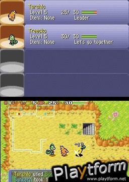 Pokemon Mystery Dungeon: Blue Rescue Team (DS)