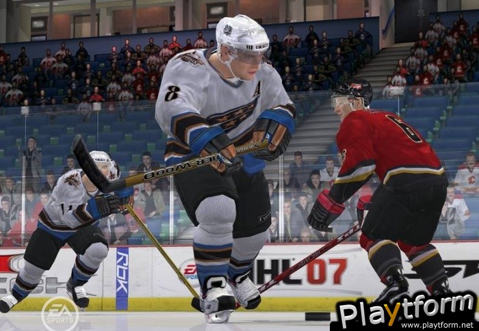 NHL 07 (PlayStation 2)