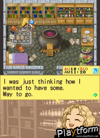 Harvest Moon DS (DS)
