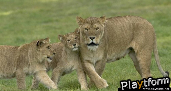 Wildlife Park 2 (PC)