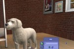 The Sims 2: Pets (PC)