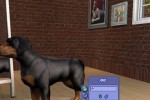 The Sims 2: Pets (PC)