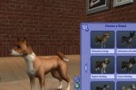 The Sims 2: Pets (PC)