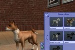 The Sims 2: Pets (PC)