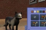 The Sims 2: Pets (PC)