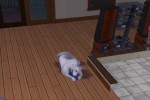 The Sims 2: Pets (PC)