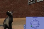 The Sims 2: Pets (PC)