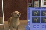 The Sims 2: Pets (PC)