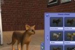 The Sims 2: Pets (PC)