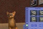 The Sims 2: Pets (PC)