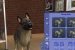 The Sims 2: Pets (PC)