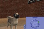 The Sims 2: Pets (PC)