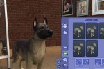 The Sims 2: Pets (PC)