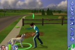 The Sims 2: Pets (PlayStation 2)