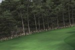 Tiger Woods PGA Tour 07 (Xbox 360)