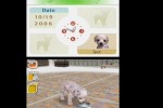 Nintendogs: Dalmatian and Friends (DS)