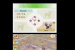 Nintendogs: Dalmatian and Friends (DS)