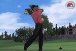 Tiger Woods PGA Tour 07 (PlayStation 2)