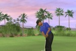 Tiger Woods PGA Tour 07 (PlayStation 2)