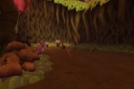 The Legend of Spyro: A New Beginning (GameCube)