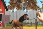 Pony LUV (PC)