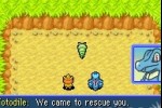 Pokemon Mystery Dungeon: Red Rescue Team (Game Boy Advance)