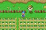 Harvest Moon DS (DS)