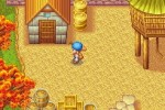 Harvest Moon DS (DS)