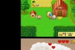 Harvest Moon DS (DS)