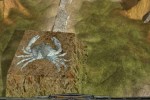 Perimeter: Emperor's Testament (PC)