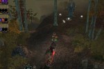 Dungeon Siege II: Broken World (PC)