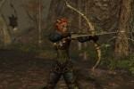 Dungeon Siege II: Broken World (PC)