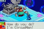 Mega Man Battle Network 6 Cybeast Gregar (Game Boy Advance)