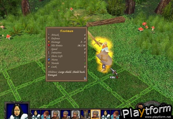 Heroes of Might and Magic V (PC)