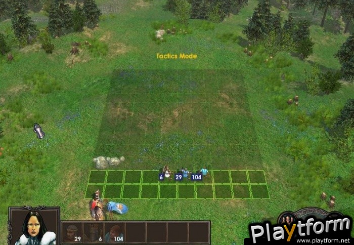 Heroes of Might and Magic V (PC)