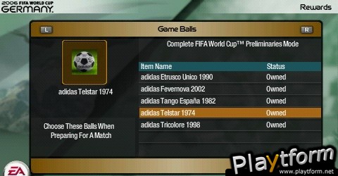 FIFA World Cup: Germany 2006 (PSP)