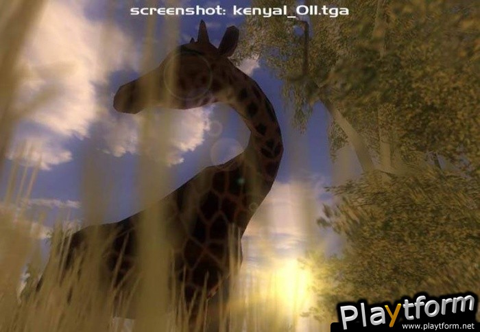 Xpand Rally (PC)
