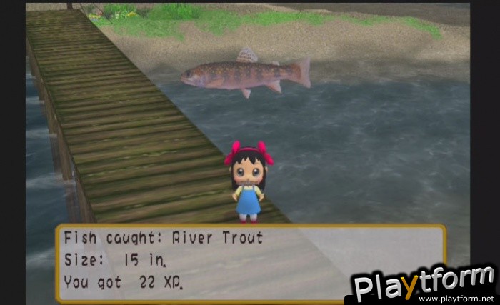 River King: A Wonderful Journey (PlayStation 2)