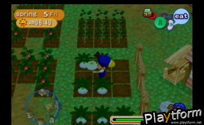 Harvest Moon: Magical Melody (GameCube)